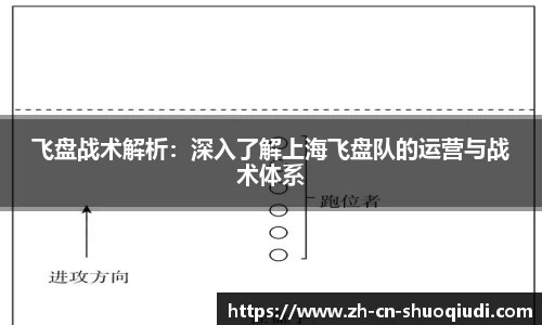 飞盘战术解析：深入了解上海飞盘队的运营与战术体系