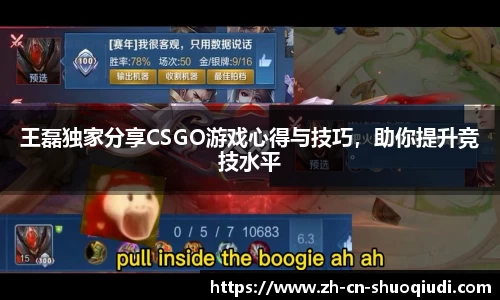 王磊独家分享CSGO游戏心得与技巧，助你提升竞技水平